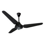 SK Fan Antique - Image 4