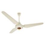 SK Fan Antique - Image 2