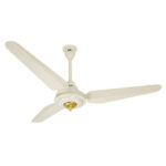 SK Fan Antique - Image 3